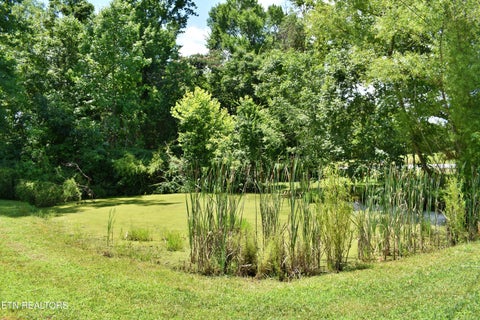 Tiny photo for 5858 Wolf Creek Rd, Spring City, TN 37381 (MLS # 1346362)