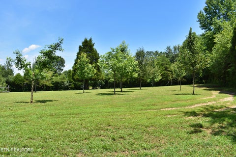 Tiny photo for 5858 Wolf Creek Rd, Spring City, TN 37381 (MLS # 1346362)