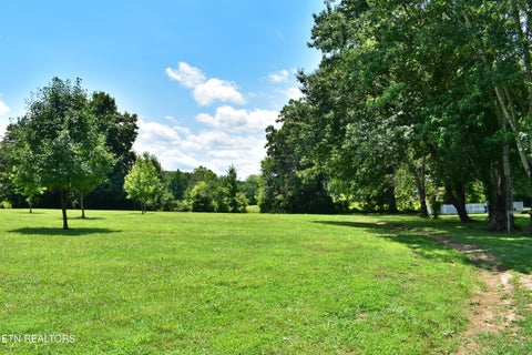 Tiny photo for 5858 Wolf Creek Rd, Spring City, TN 37381 (MLS # 1346362)