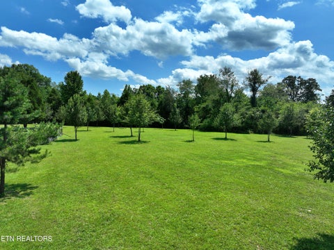 Tiny photo for 5858 Wolf Creek Rd, Spring City, TN 37381 (MLS # 1346362)