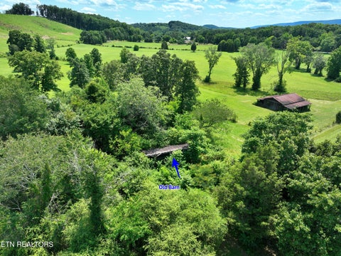 Tiny photo for 5858 Wolf Creek Rd, Spring City, TN 37381 (MLS # 1346362)