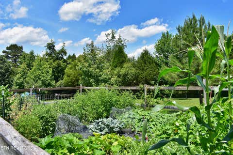 Tiny photo for 5858 Wolf Creek Rd, Spring City, TN 37381 (MLS # 1346362)