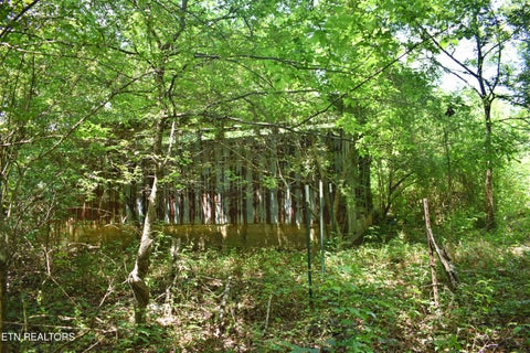 Tiny photo for 5858 Wolf Creek Rd, Spring City, TN 37381 (MLS # 1346362)