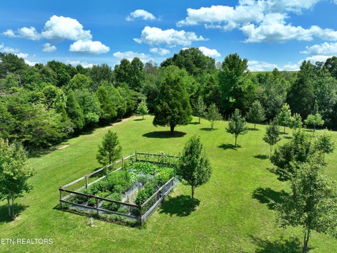 Tiny photo for 5858 Wolf Creek Rd, Spring City, TN 37381 (MLS # 1346362)