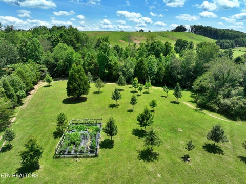 Tiny photo for 5858 Wolf Creek Rd, Spring City, TN 37381 (MLS # 1346362)
