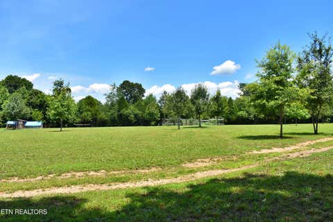 Tiny photo for 5858 Wolf Creek Rd, Spring City, TN 37381 (MLS # 1346362)