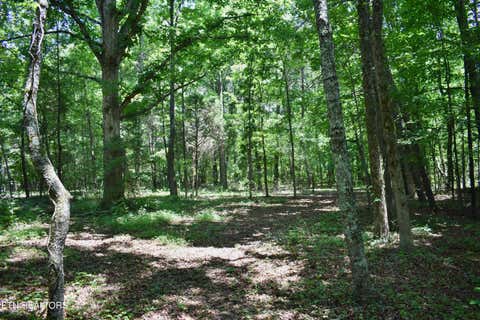 Tiny photo for 5858 Wolf Creek Rd, Spring City, TN 37381 (MLS # 1346362)
