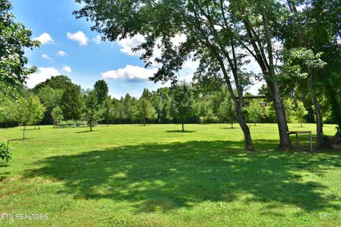 Tiny photo for 5858 Wolf Creek Rd, Spring City, TN 37381 (MLS # 1346362)