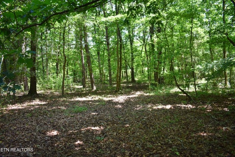 Tiny photo for 5858 Wolf Creek Rd, Spring City, TN 37381 (MLS # 1346362)