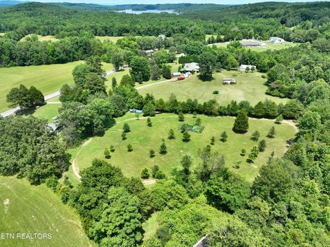 Tiny photo for 5858 Wolf Creek Rd, Spring City, TN 37381 (MLS # 1346362)