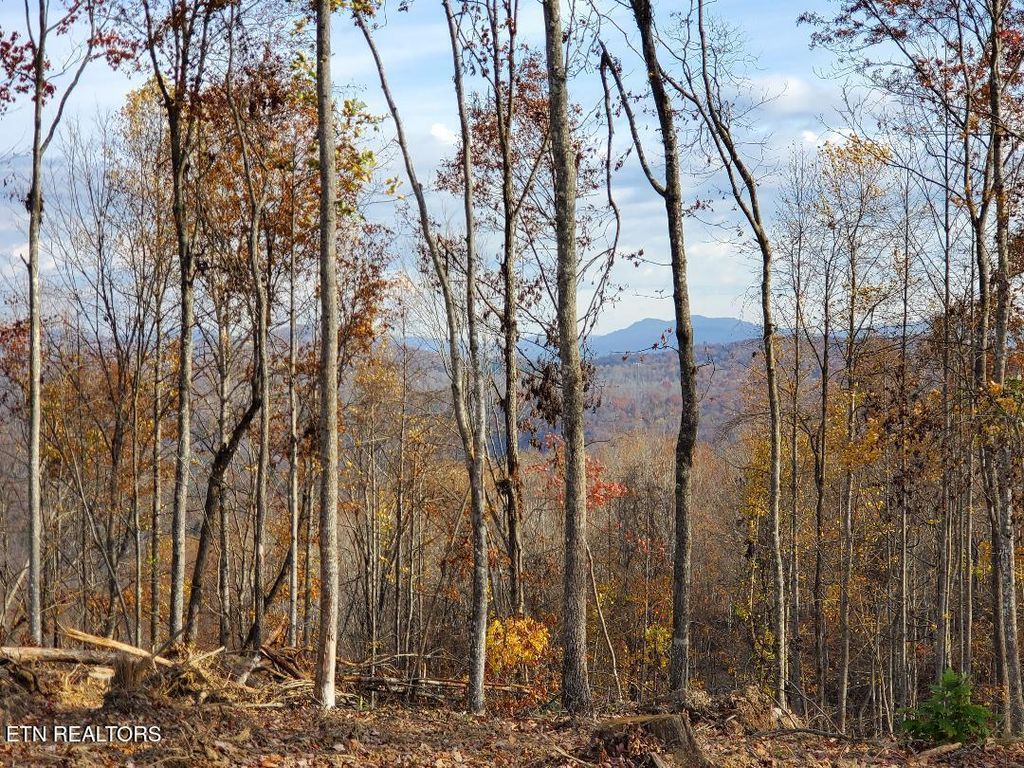 Photo of Bull Creek Lot K Rd, Huntsville, TN 37756 (MLS # 1321259)