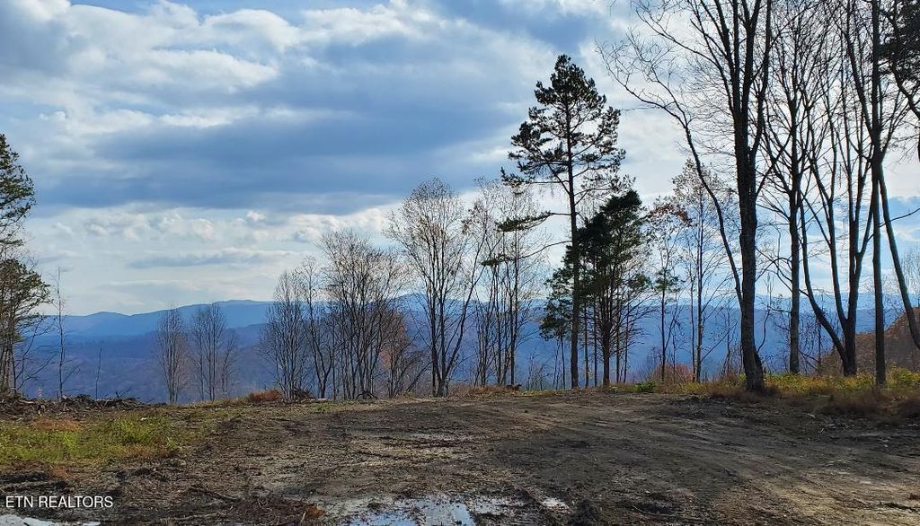 Photo of Bull Creek Lot K Rd, Huntsville, TN 37756 (MLS # 1321259)