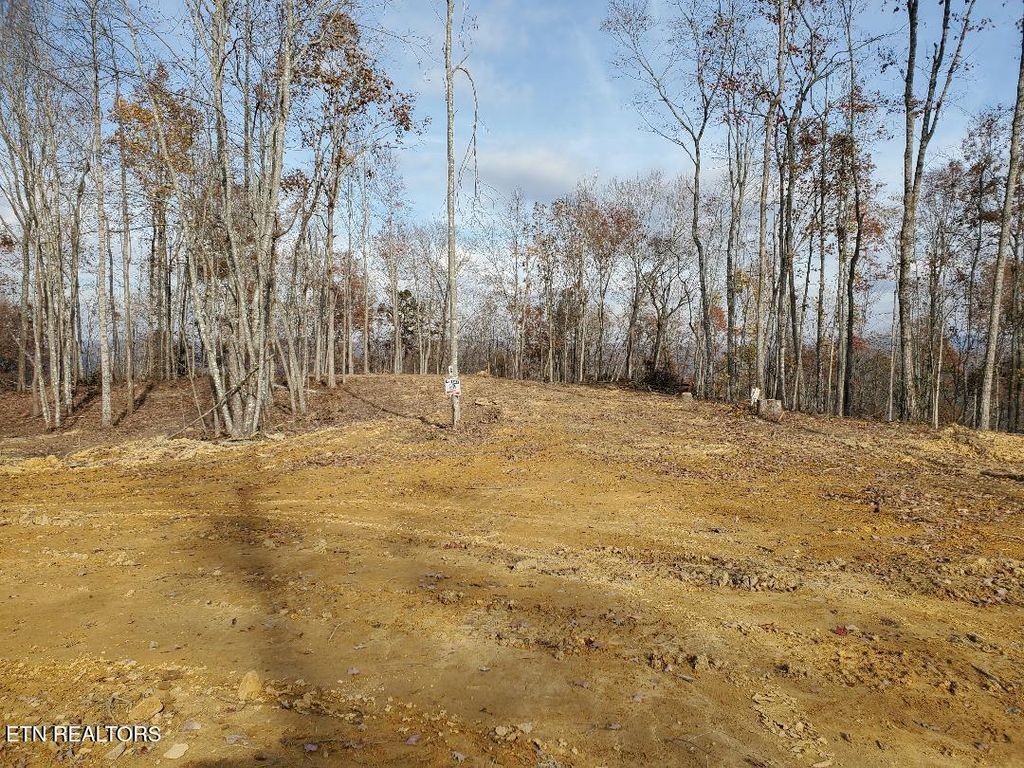 Photo of Bull Creek Lot K Rd, Huntsville, TN 37756 (MLS # 1321259)