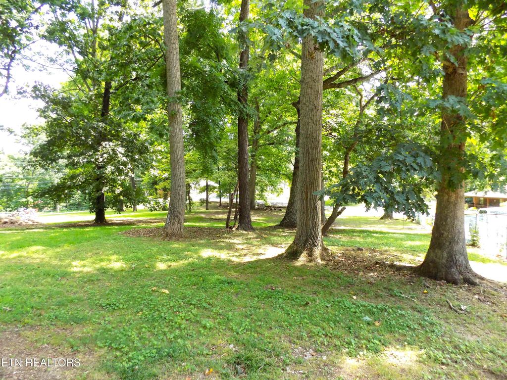 Photo of 985 Ronald Drive, Talbott, TN 37877 (MLS # 1348994)