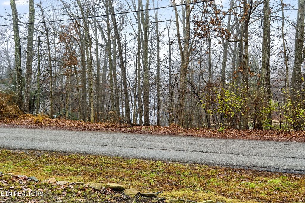 Photo of 213 Lakeside Drive, Crossville, TN 38558 (MLS # 1323874)