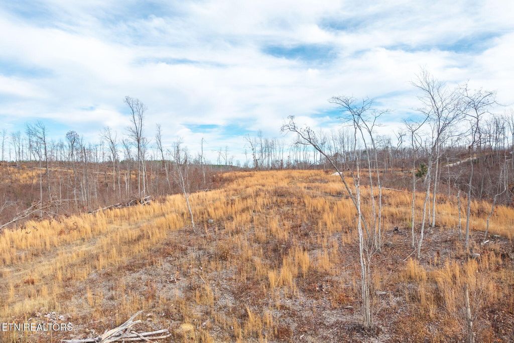 Photo of Flat Rock Road Rd #Lot 6, Jamestown, TN 38556 (MLS # 1334029)