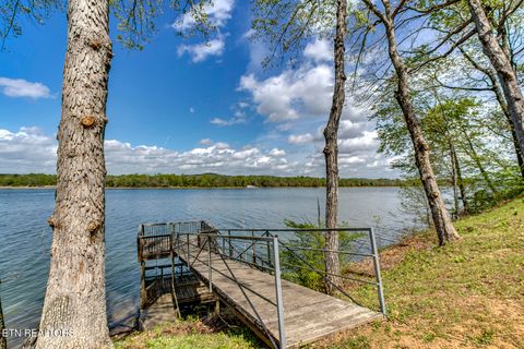 Tiny photo for 609 Lakewood Drive, Decatur, TN 37322 (MLS # 1337809)