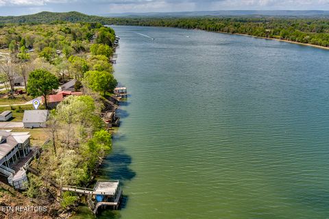 Tiny photo for 609 Lakewood Drive, Decatur, TN 37322 (MLS # 1337809)