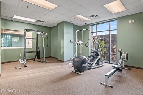 Tiny photo for 427 Big Bear Way, Pigeon Forge, TN 37863 (MLS # 1329465)