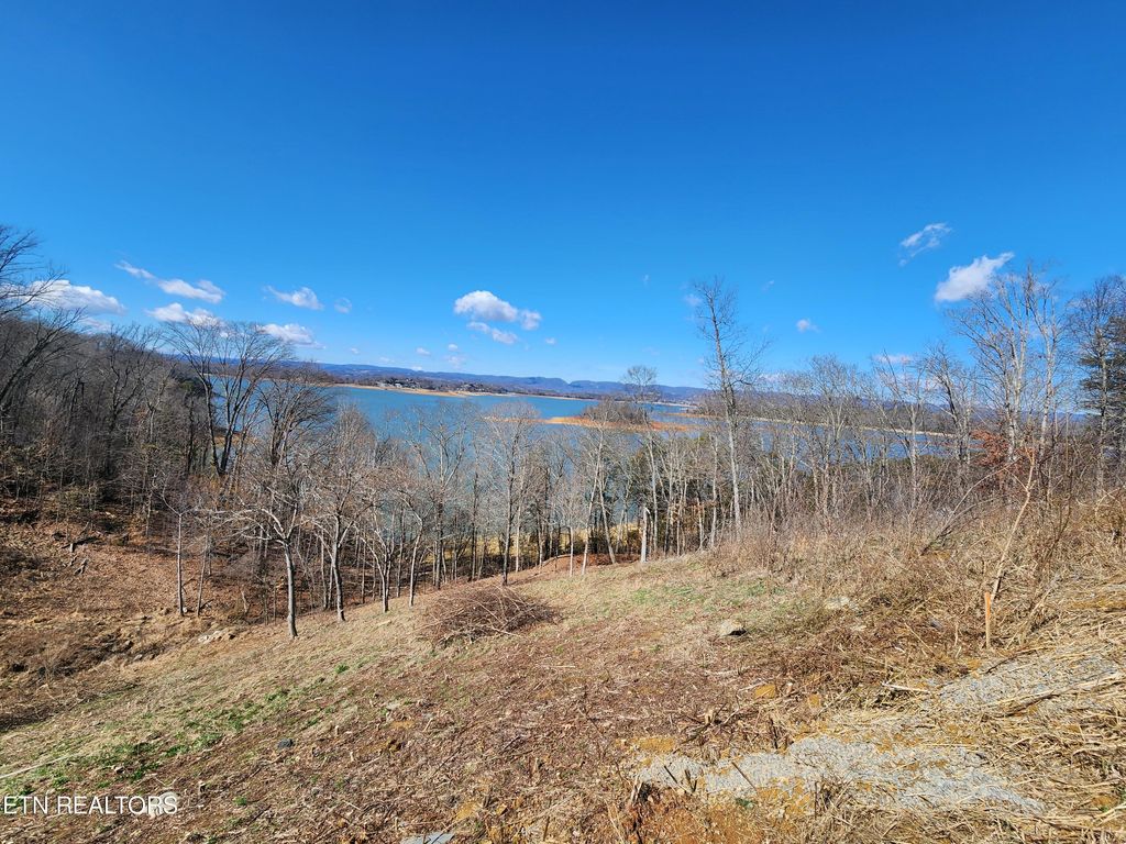 Photo of 2613 Serenity Sound, Morristown, TN 37816 (MLS # 1253881)