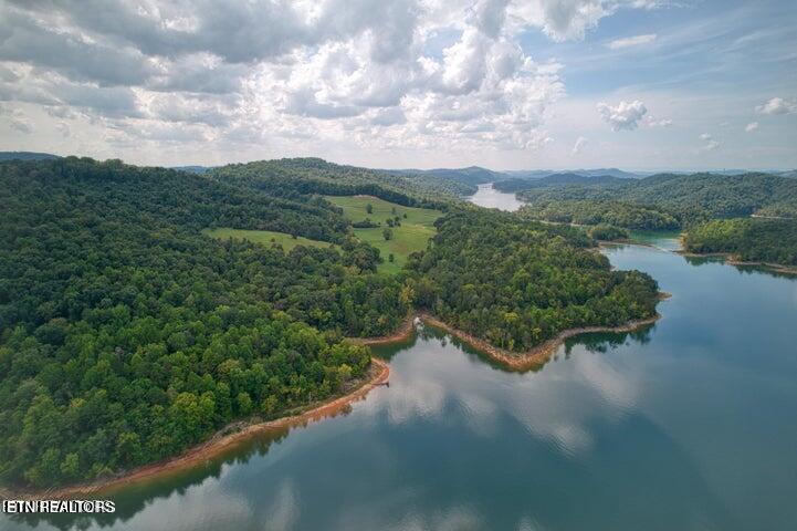 Photo of Bob Wright Rd, Maynardville, TN 37807 (MLS # 1358506)