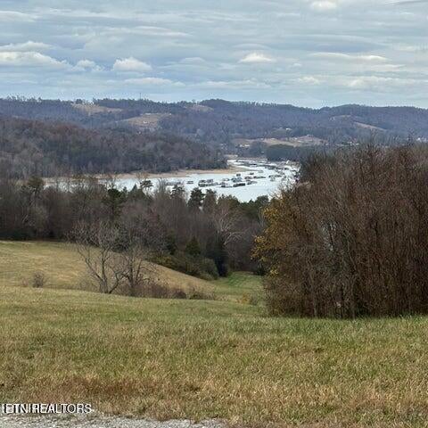 Photo of Bob Wright Rd, Maynardville, TN 37807 (MLS # 1358506)