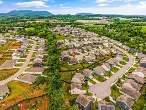 Tiny photo for 9402 Cornflower Lane, Mascot, TN 37806 (MLS # 1339086)