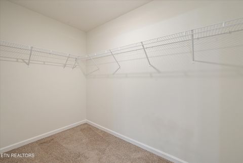 Tiny photo for 9402 Cornflower Lane, Mascot, TN 37806 (MLS # 1339086)