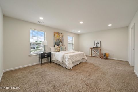 Tiny photo for 9402 Cornflower Lane, Mascot, TN 37806 (MLS # 1339086)