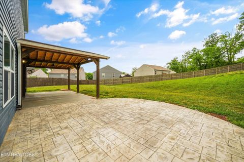 Tiny photo for 9402 Cornflower Lane, Mascot, TN 37806 (MLS # 1339086)