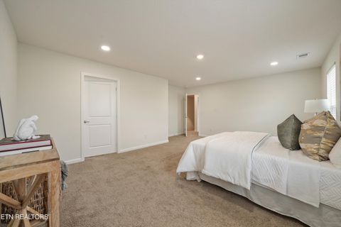 Tiny photo for 9402 Cornflower Lane, Mascot, TN 37806 (MLS # 1339086)
