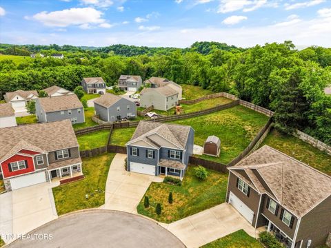 Tiny photo for 9402 Cornflower Lane, Mascot, TN 37806 (MLS # 1339086)