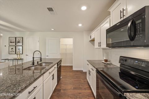 Tiny photo for 9402 Cornflower Lane, Mascot, TN 37806 (MLS # 1339086)