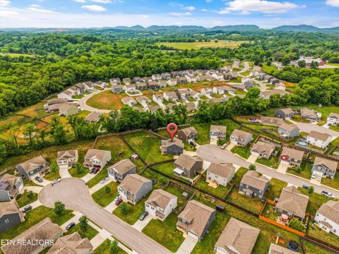 Tiny photo for 9402 Cornflower Lane, Mascot, TN 37806 (MLS # 1339086)