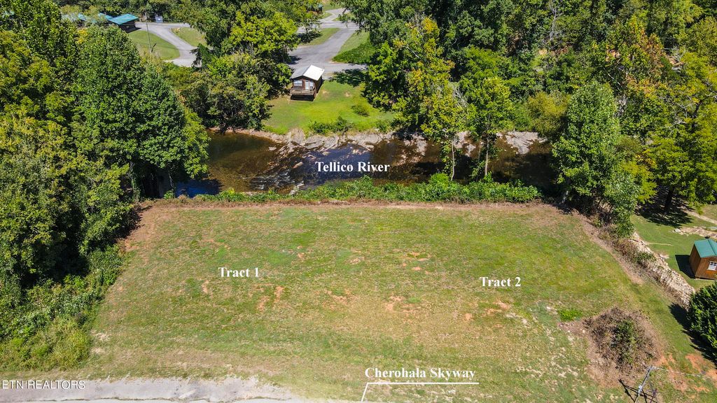 Photo of 1445 Cherohala Skyway, Tellico Plains, TN 37385 (MLS # 1276377)