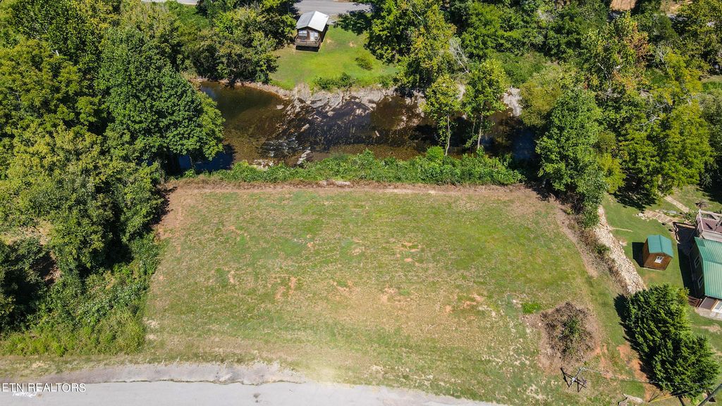 Photo of 1445 Cherohala Skyway, Tellico Plains, TN 37385 (MLS # 1276377)