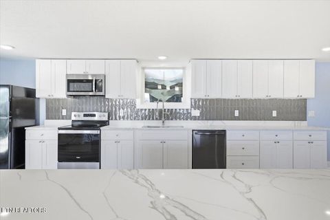 Tiny photo for 743 Garrett Rd, Dandridge, TN 37725 (MLS # 1330139)