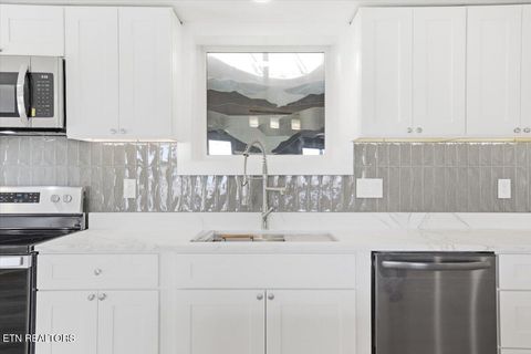 Tiny photo for 743 Garrett Rd, Dandridge, TN 37725 (MLS # 1330139)