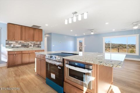 Tiny photo for 743 Garrett Rd, Dandridge, TN 37725 (MLS # 1330139)