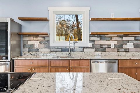 Tiny photo for 743 Garrett Rd, Dandridge, TN 37725 (MLS # 1330139)