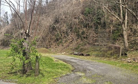 Tiny photo for 729 Turkey Nest Rd, Gatlinburg, TN 37738 (MLS # 1333664)