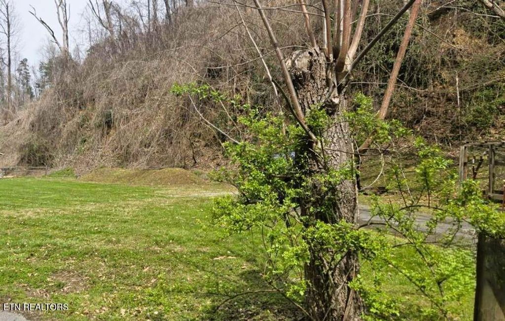 Photo of 729 Turkey Nest Rd, Gatlinburg, TN 37738 (MLS # 1333664)