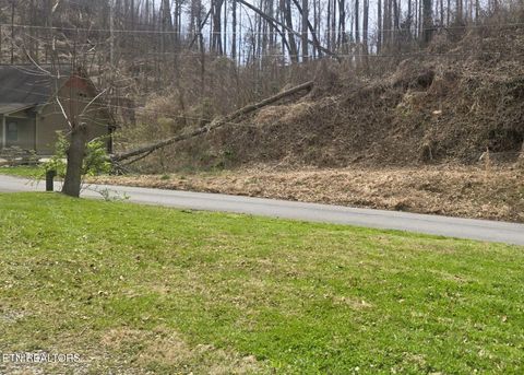 Tiny photo for 729 Turkey Nest Rd, Gatlinburg, TN 37738 (MLS # 1333664)