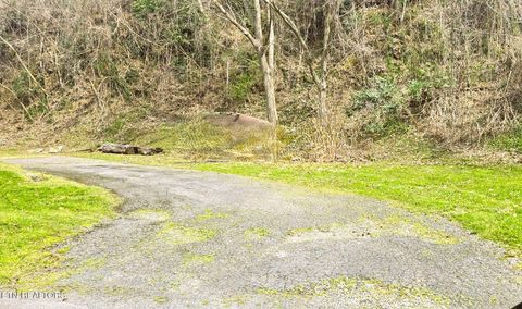 Tiny photo for 729 Turkey Nest Rd, Gatlinburg, TN 37738 (MLS # 1333664)