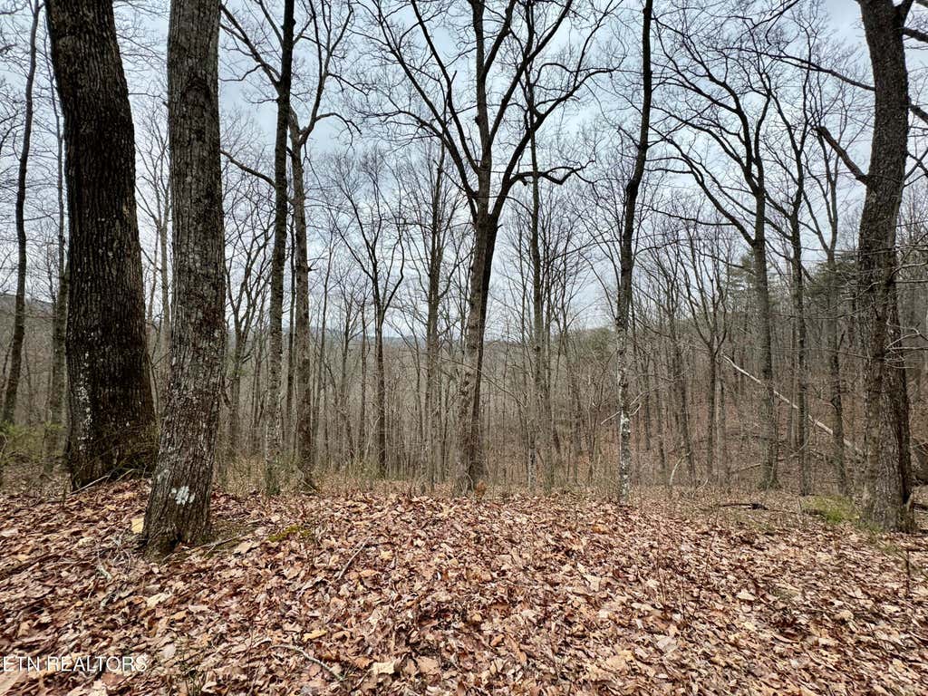Photo of Wolf Creek Rd, Robbins, TN 37852 (MLS # 1312980)