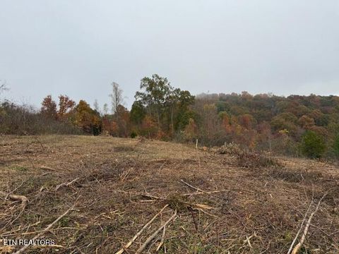 Tiny photo for Pinnacle Lane, LaFollette, TN 37766 (MLS # 1320573)