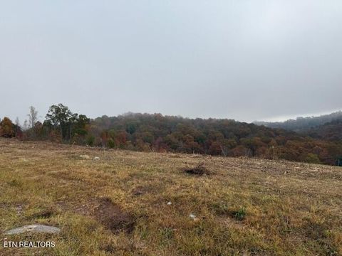 Tiny photo for Pinnacle Lane, LaFollette, TN 37766 (MLS # 1320573)