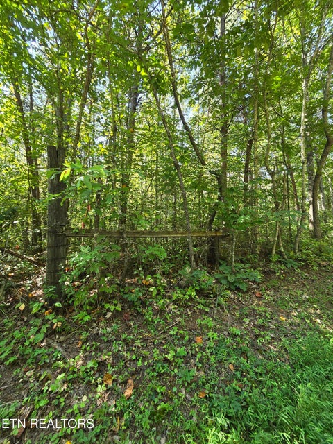 Photo of 0 Old Rugby Pike, Robbins, TN 37852 (MLS # 1355088)