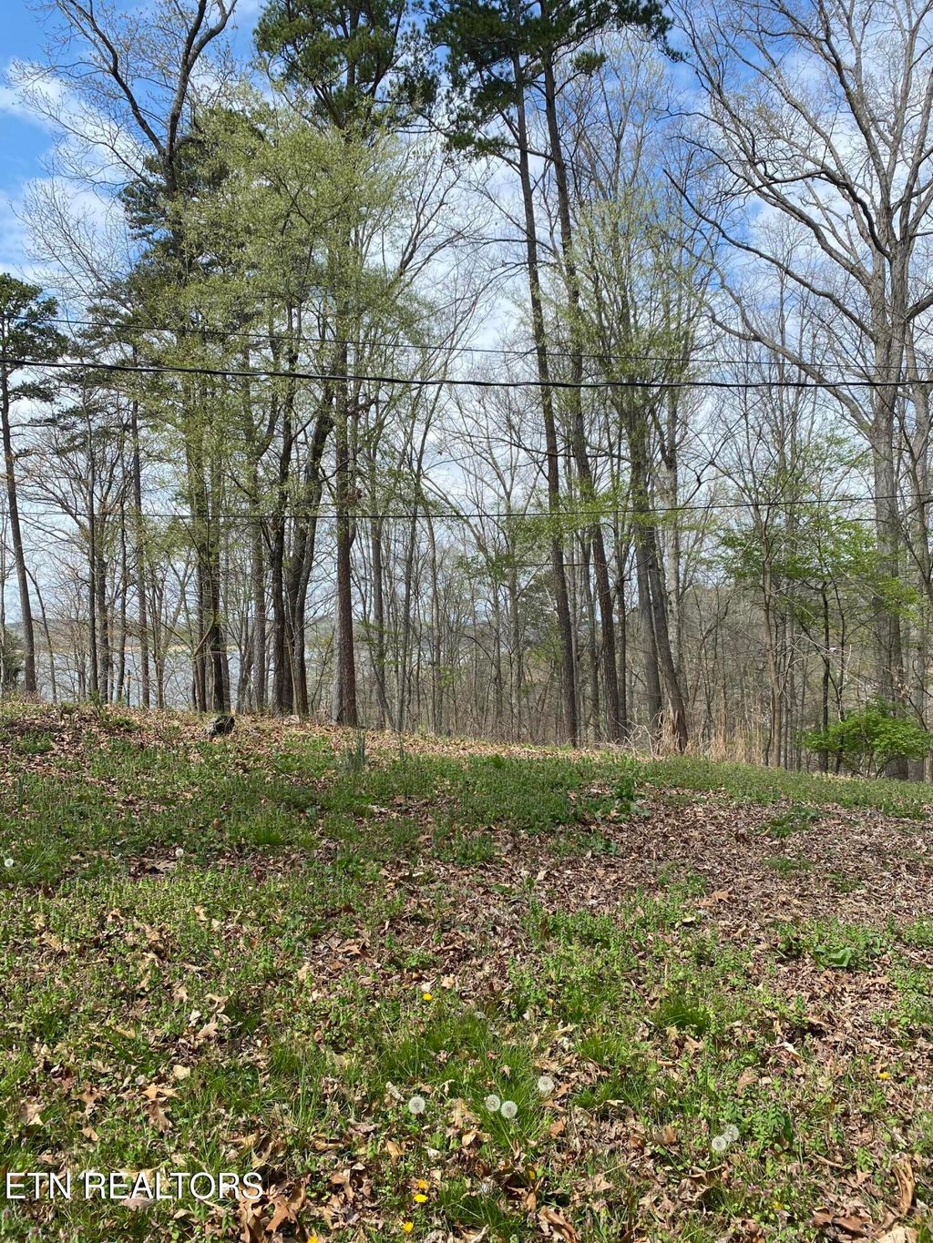 Photo of 429 Mayflower Lane, Dandridge, TN 37725 (MLS # 1339107)