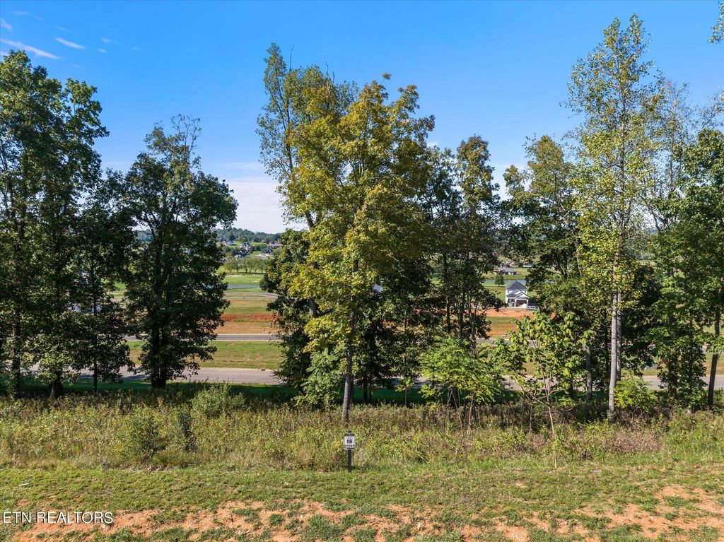 Photo of 1479 Black Cove Lane, Loudon, TN 37774 (MLS # 1332798)